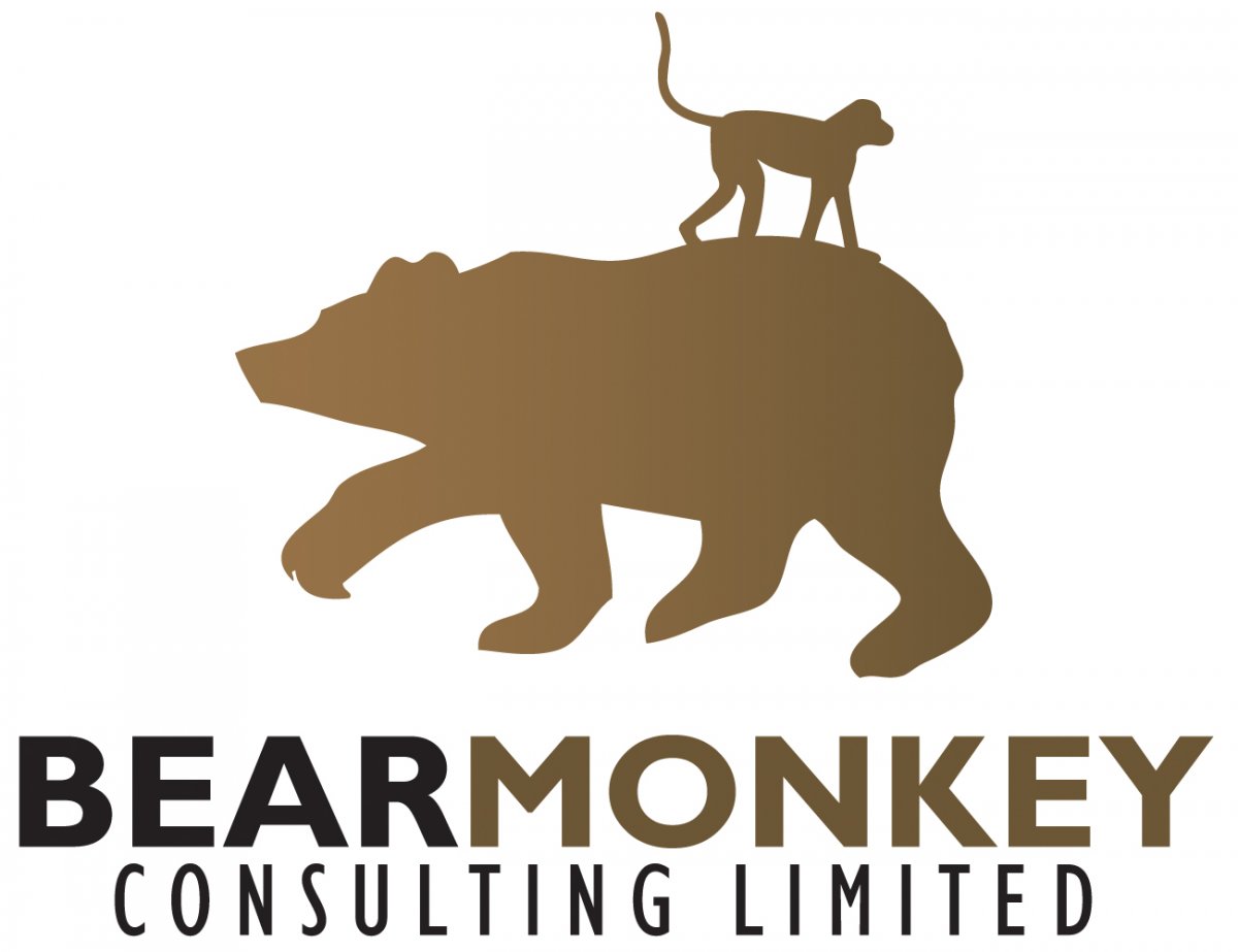BEARMONKEY CONSULTING